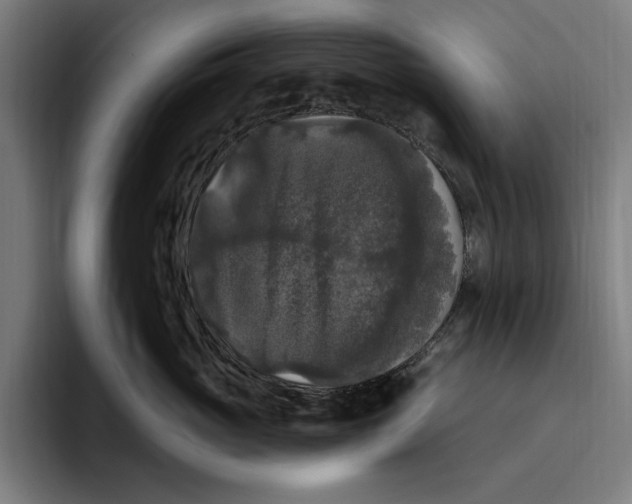 X0000094810765200712071225