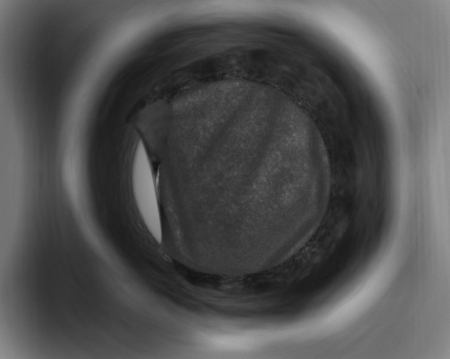 X0000094810766200712071225