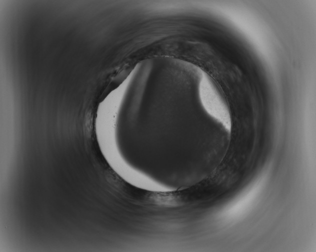 X0000094810767200712071225