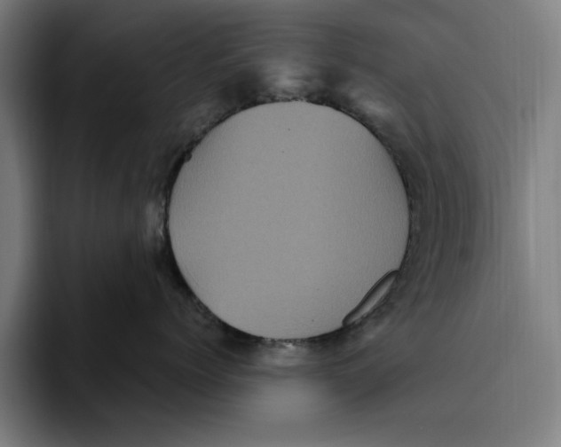 X0000094810768200712071225