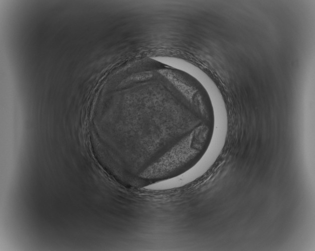 X0000094810769200712071225