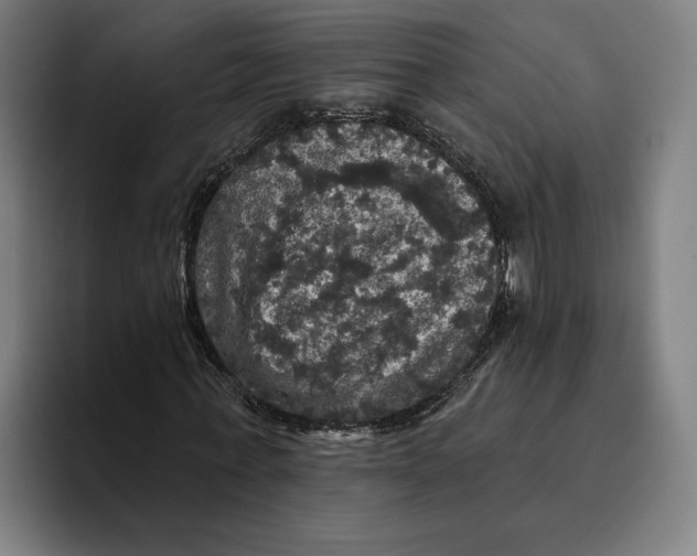 X0000094810771200712071225