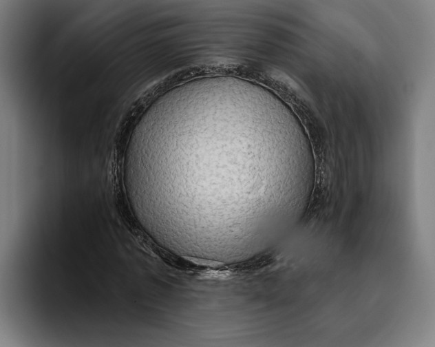 X0000094810773200712071225