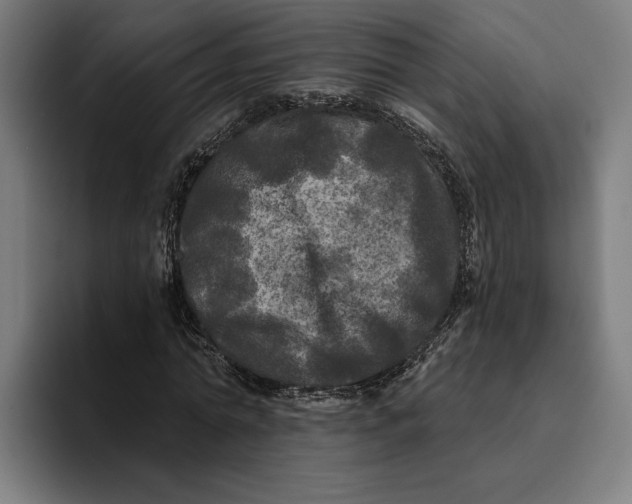 X0000094810774200712071225