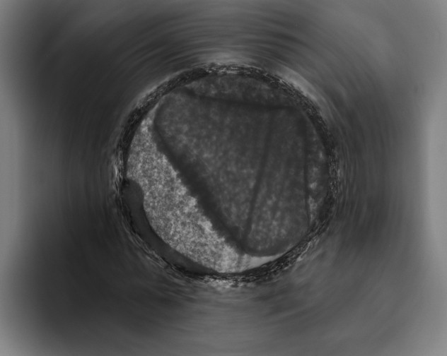 X0000094810775200712071225