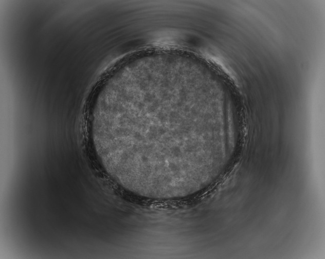 X0000094810776200712071225