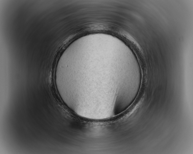 X0000094810777200712071225