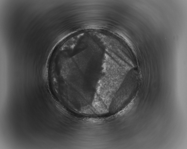 X0000094810779200712071224