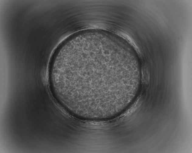 X0000094810780200712071224