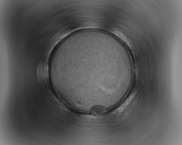 X0000094810781200712071224