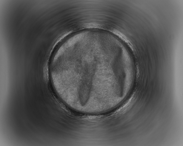 X0000094810782200712071224