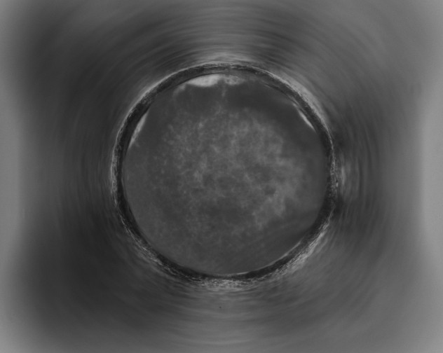 X0000094810783200712071224