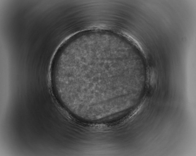 X0000094810784200712071224