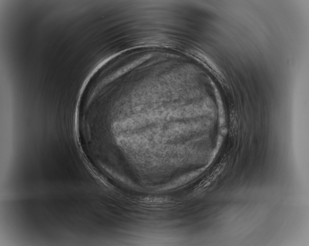 X0000094810788200712071224