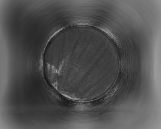 X0000094810790200712071224