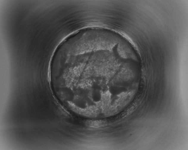 X0000094810791200712071224