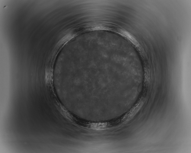 X0000094810793200712071224