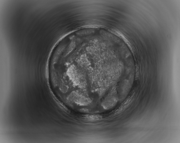 X0000094810795200712071224