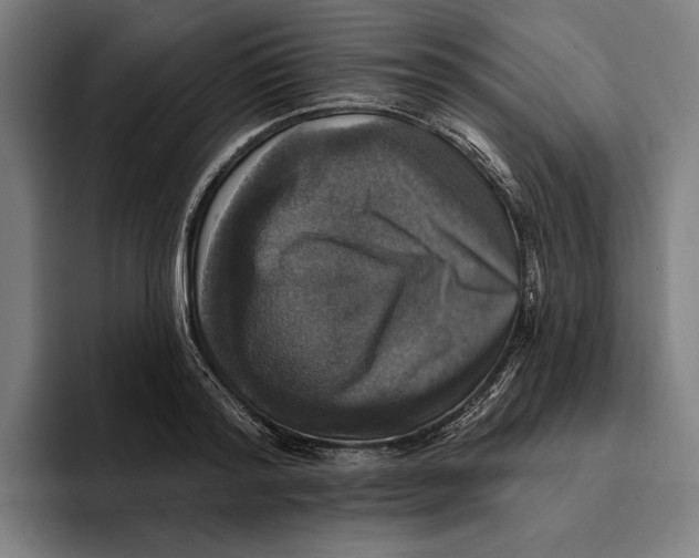 X0000094810796200712071224