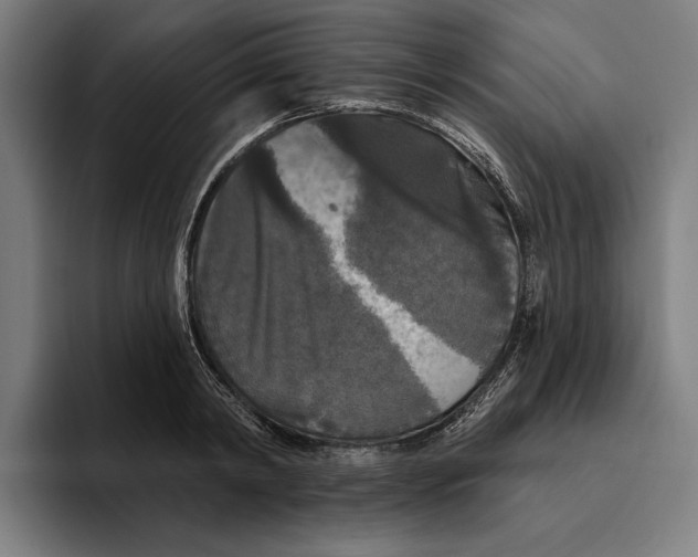 X0000094810798200712071224