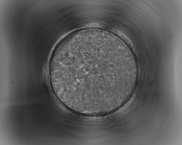 X0000094810800200712071224