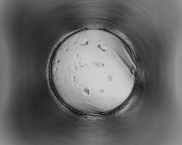 X0000094810803200712071224