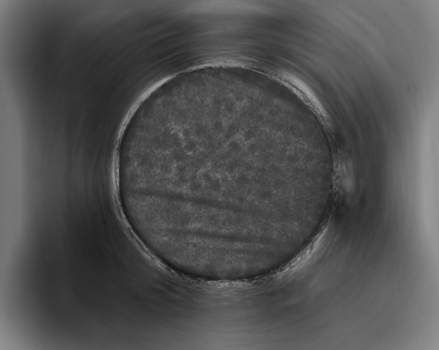 X0000094810804200712071224