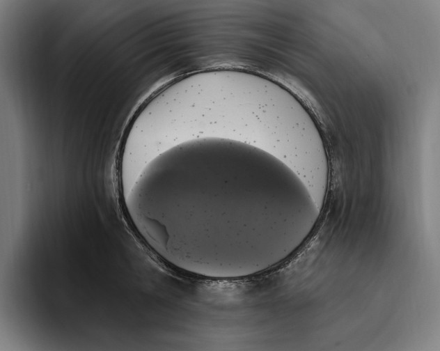 X0000094810806200712071224