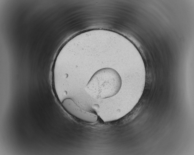 X0000094810807200712071224