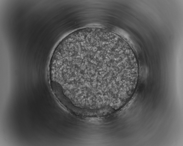 X0000094810808200712071224