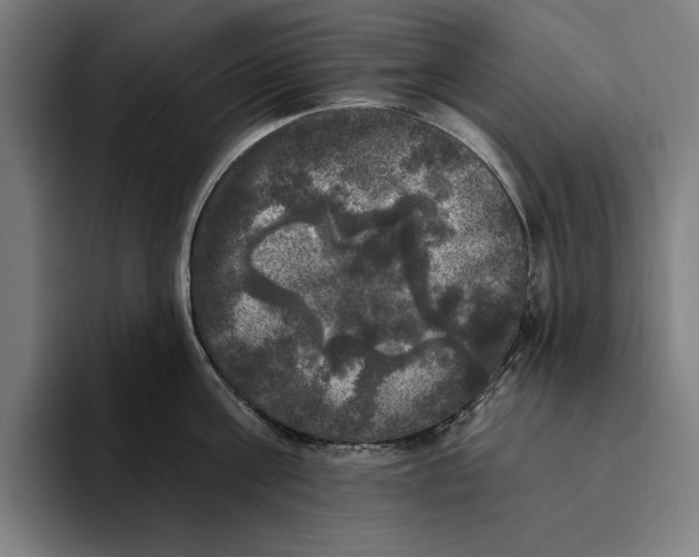 X0000094810811200712071224