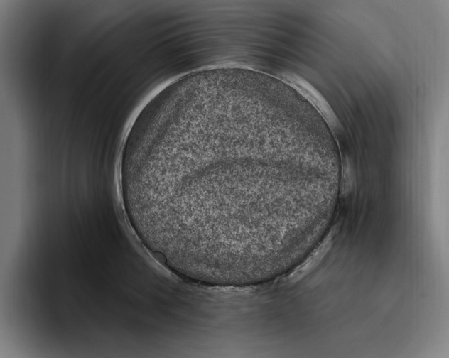 X0000094810812200712071224