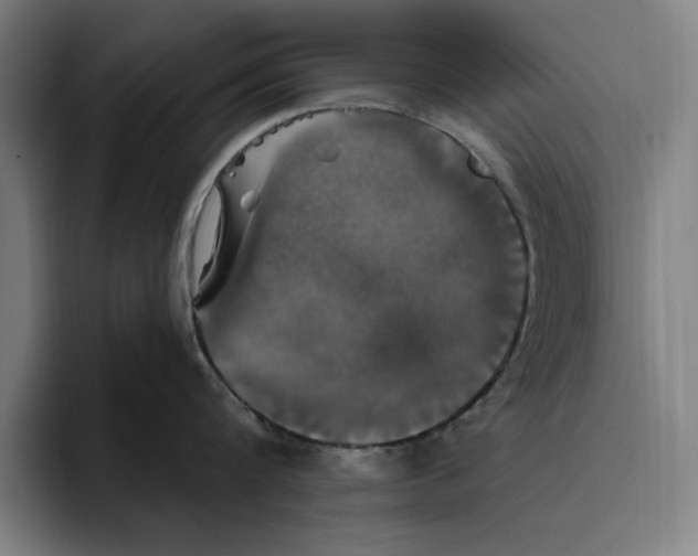 X0000094810816200712071224