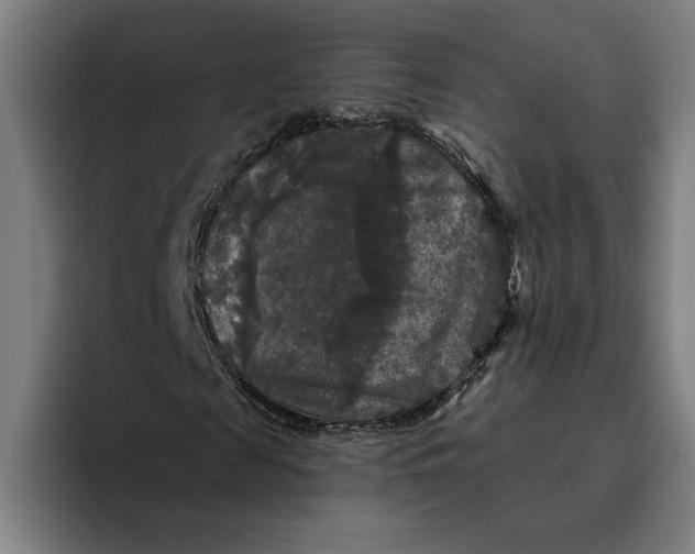 X0000094810817200712071223