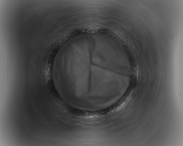 X0000094810818200712071223