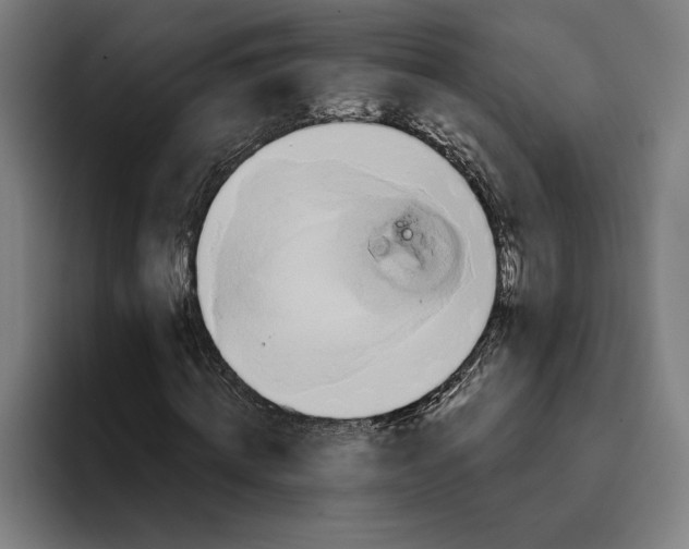 X0000094810820200712071223