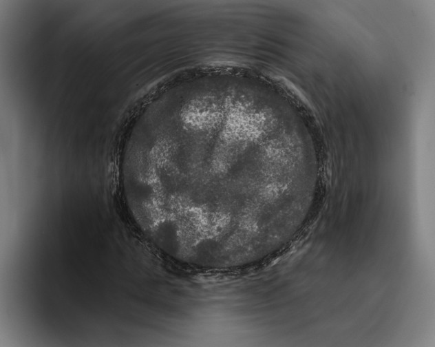 X0000094810821200712071223