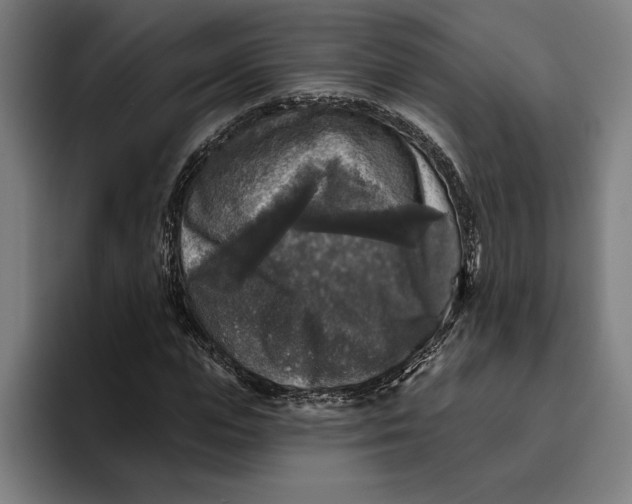 X0000094810823200712071223