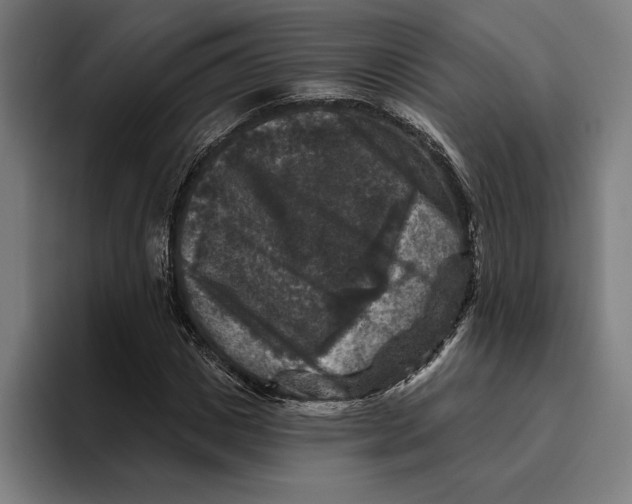 X0000094810825200712071223