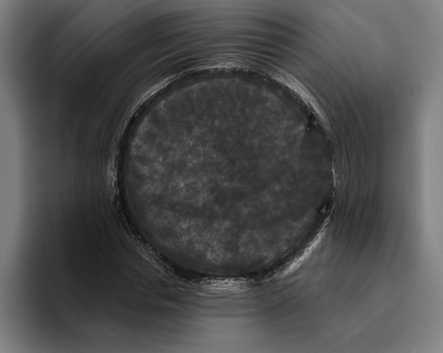 X0000094810826200712071223