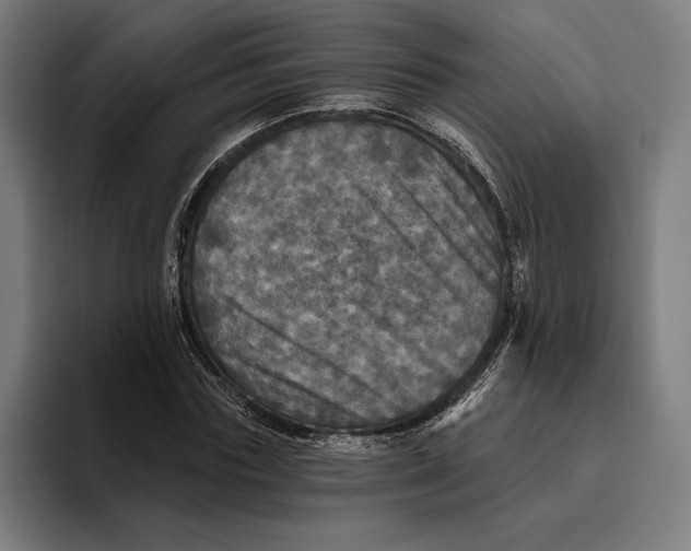 X0000094810827200712071223