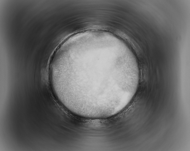 X0000094810828200712071224