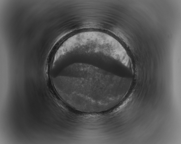 X0000094810830200712071224