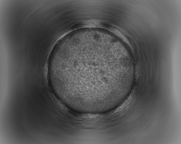 X0000094810831200712071224