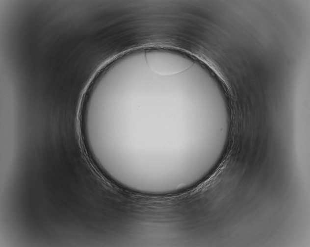 X0000094810832200712071224