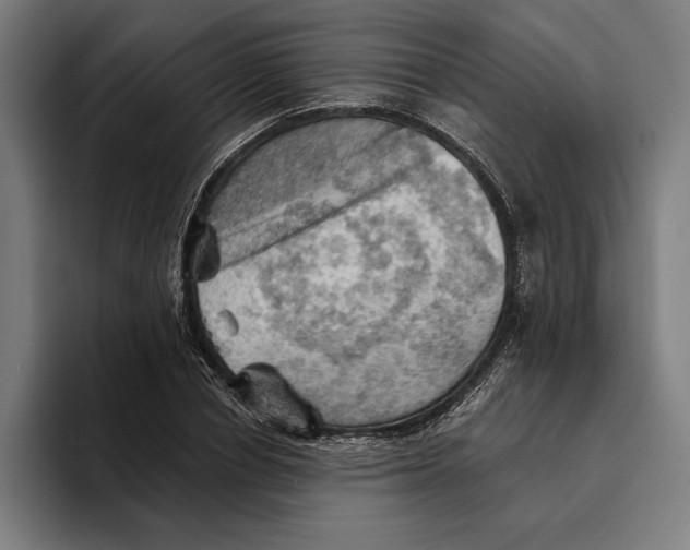 X0000094810834200712071224