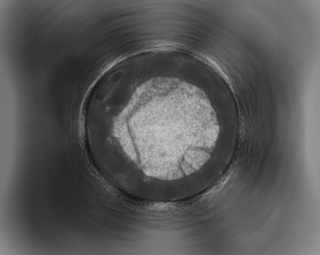 X0000094810835200712071224