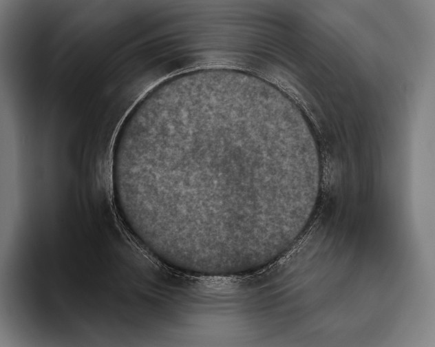 X0000094810836200712071224