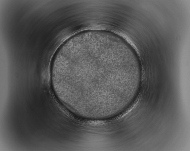 X0000094810837200712071224