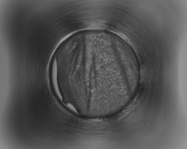 X0000094810838200712071224